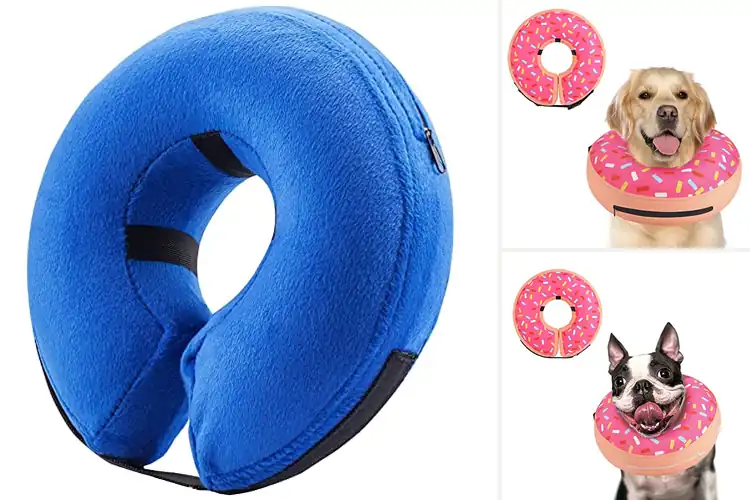 Detailed view of Best Soft Donut Collar For Dogs
