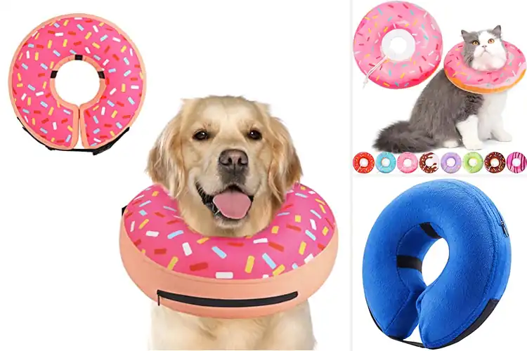 Detailed view of Best Soft Donut Recovery Collar