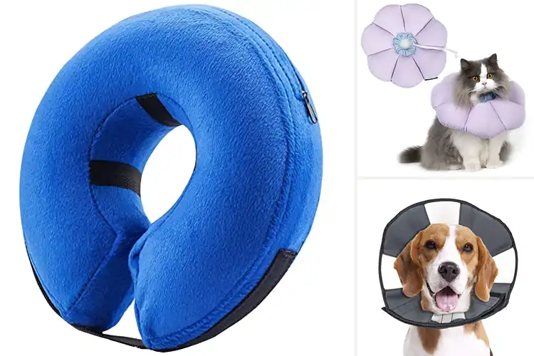 Detailed view of Best Soft Recovery Collar: Stress-Free Healing for Your Pet