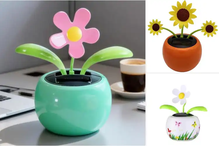 Detailed view of Best Solar Dancing Gifts to Light Up Your Space with Joy