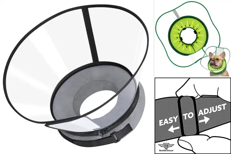 Detailed view of Best Sponge Core Collars