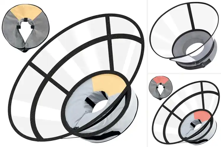 Detailed view of Best Sponge Core Dog Collars