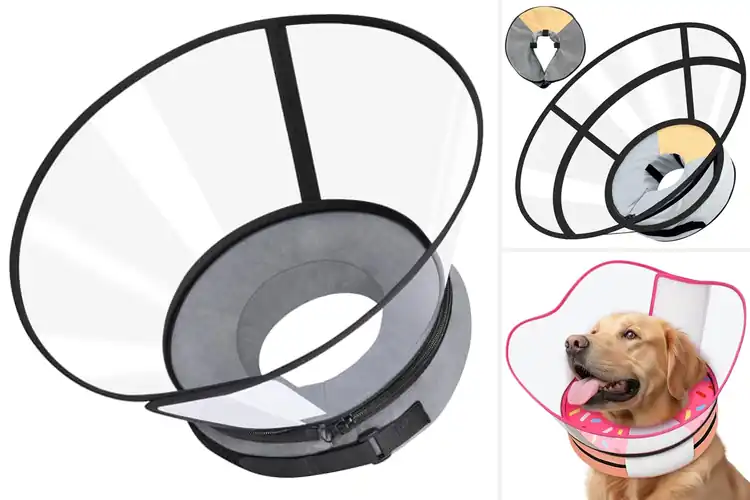 Detailed view of Best Sponge Core Dog Cone: Comfort & Safety for Your Pet