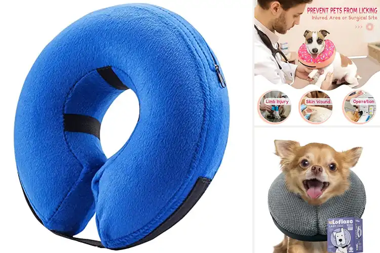 Detailed view of Best Surgery Recovery Collars