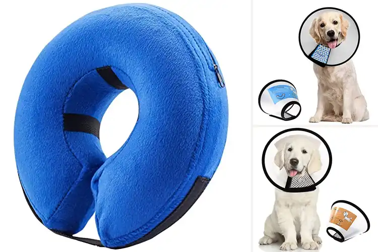 Detailed view of Best Surgical Collars: Top 10 Picks for Pet Safety & Comfort