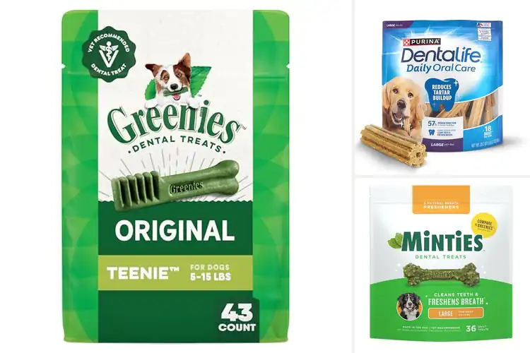 Detailed view of Best Teeth Chews