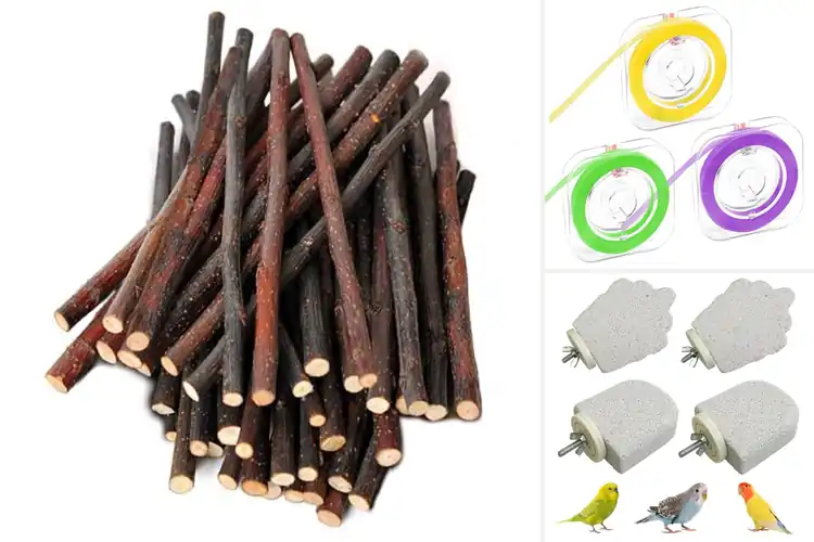 Detailed view of Best Teeth Grinding Sticks: Smile-Safe Solutions for All