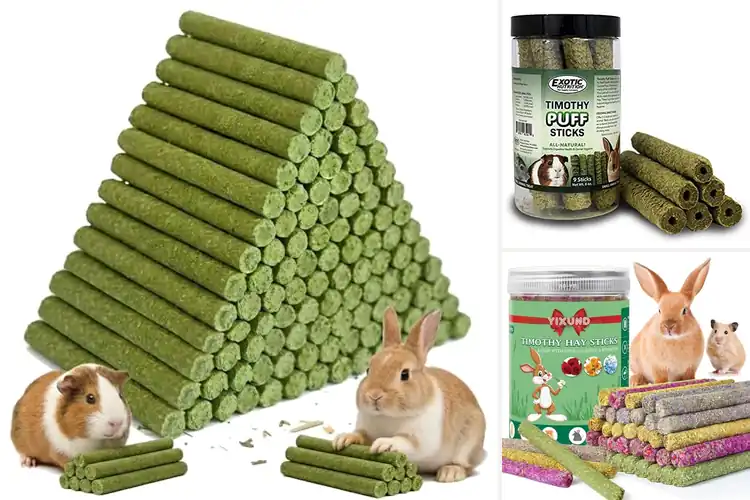 Detailed view of Best Timothy Hay Sticks For Rodents