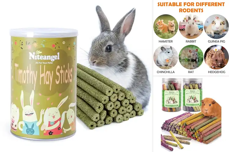 Detailed view of Best Timothy Hay Sticks