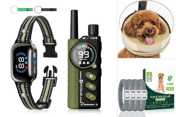 Detailed view of Best Two In One Comfort And Protection Collar