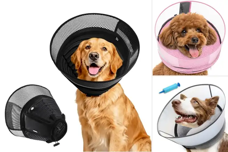 Detailed view of Best Two-In-One Recovery Collar: Happy Healing