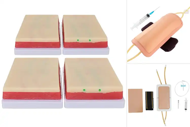 Detailed view of Best Venipuncture Training Models