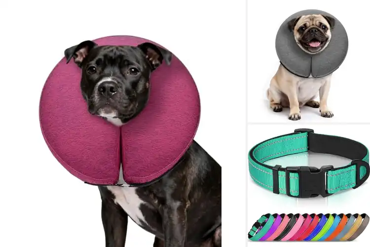 Detailed view of Best Vision Friendly Dog Collars: See Clearly
