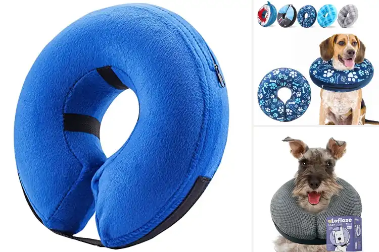 Detailed view of Best Washable Dog Collar Pillow: Top 10 for Comfy Healing