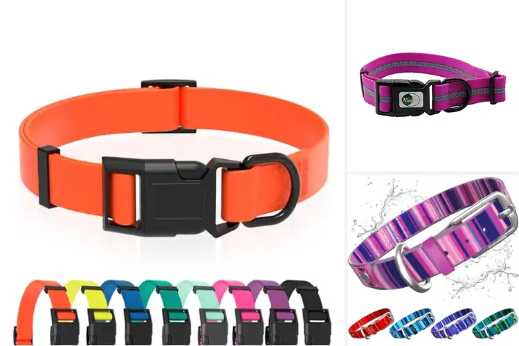 Detailed view of Best Washable Dog Collars